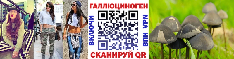 Купить закладки  Губаха  Псилоцибиновые грибы MAGIC MUSHROOMS 